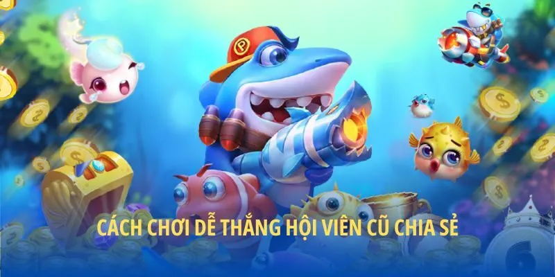 Cách chơi dễ thắng hội viên cũ chia sẻ