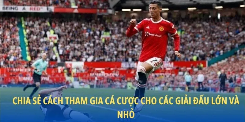 Chia sẻ cách tham gia cá cược cho các giải đấu lớn và nhỏ