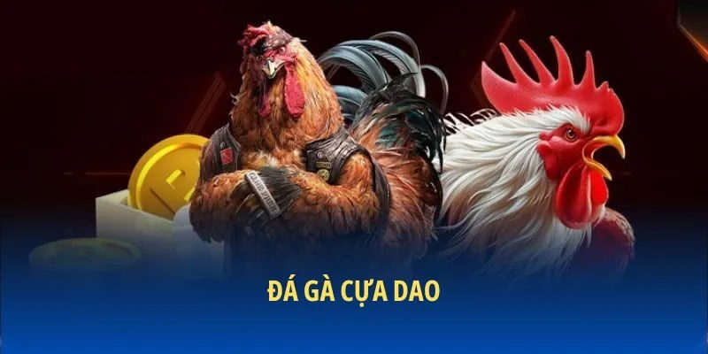 Định nghĩa đá gà cựa dao là gì
