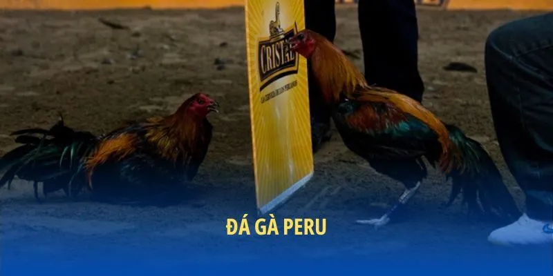 Đá Gà Peru là gì