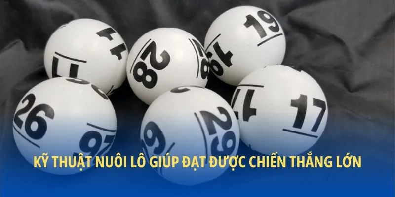 Kỹ thuật nuôi lô giúp đạt được chiến thắng lớn