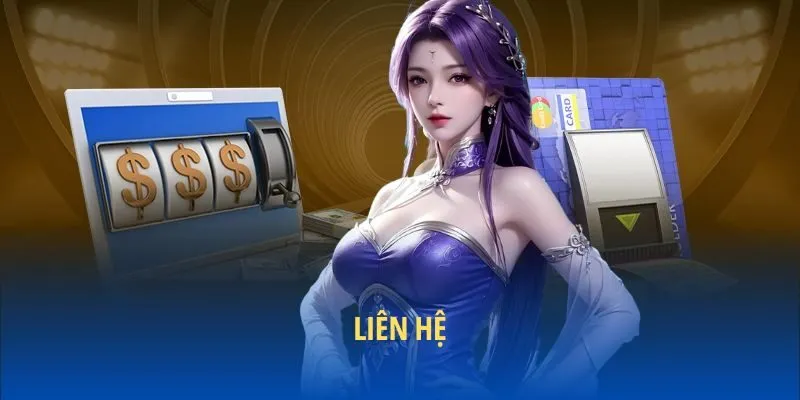 Liên hệ nền tảng