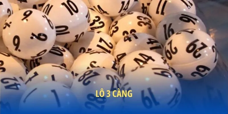 Lô 3 càng là gì