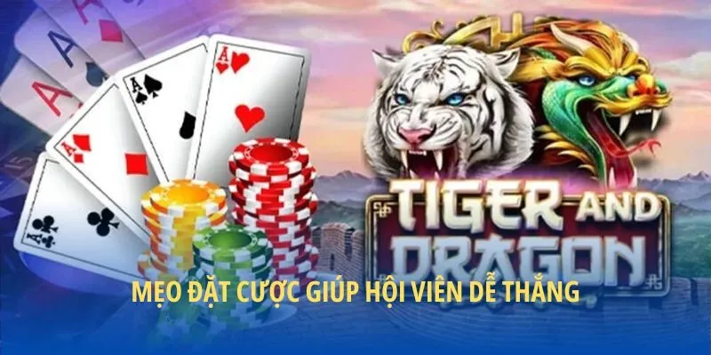 Mẹo đặt cược giúp hội viên dễ thắng