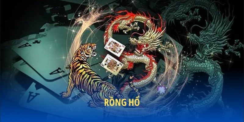 Khám phá Rồng Hổ
