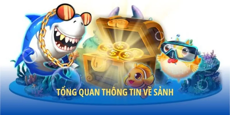 Tổng quan thông tin về sảnh